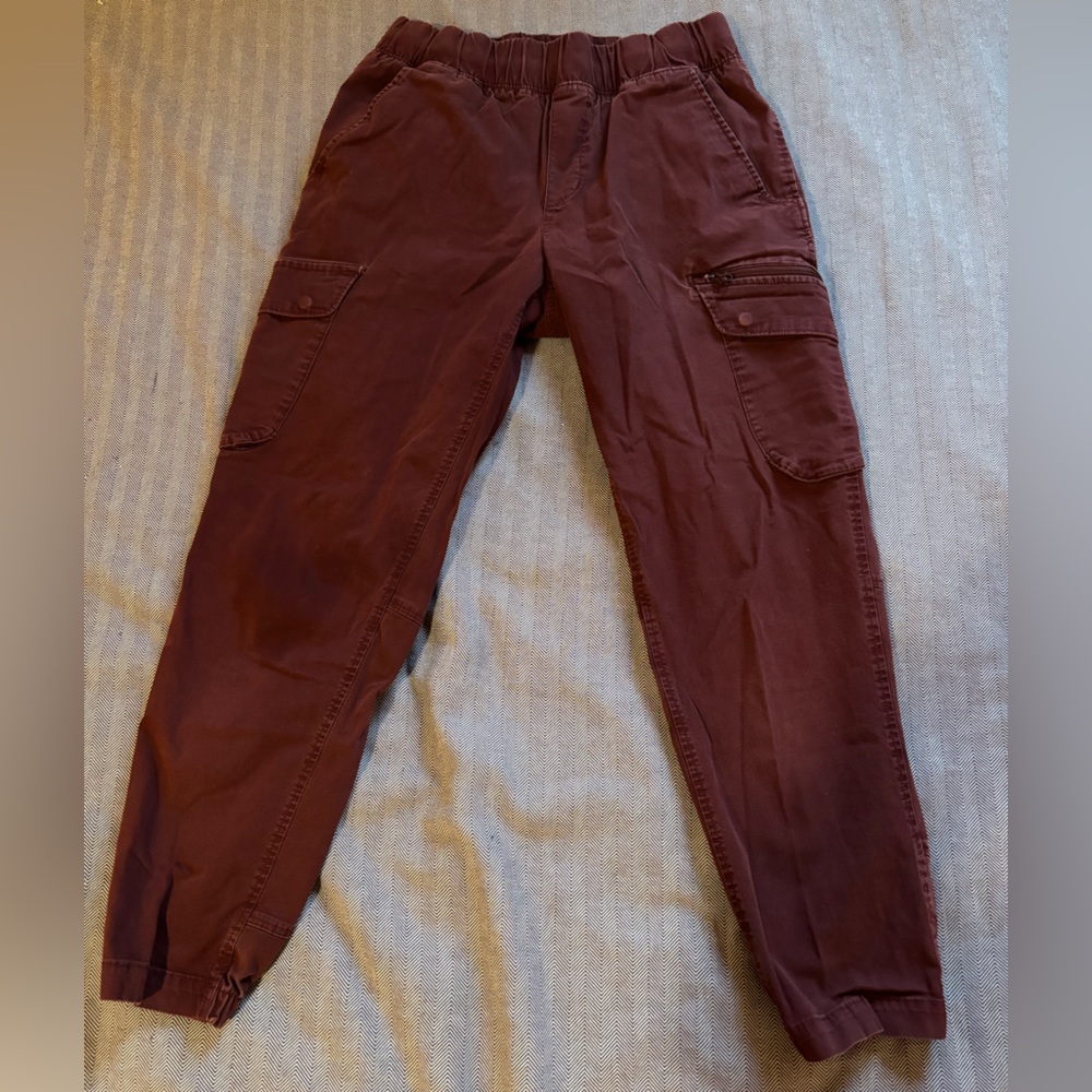 Mountain Hardwear Cascade Pass Drawstring Cargo Climbing Pants in Maroon